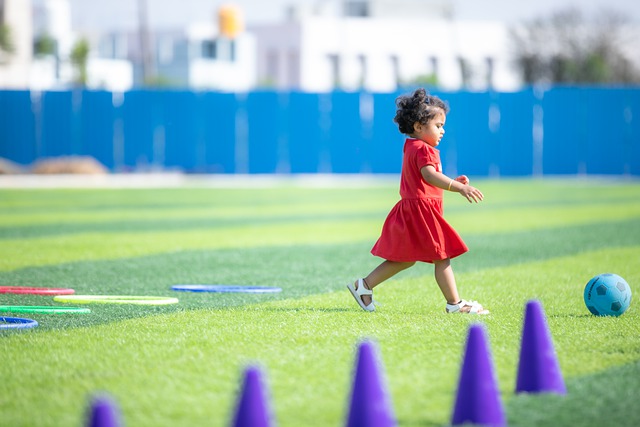 仅提高了球 仅提高了球