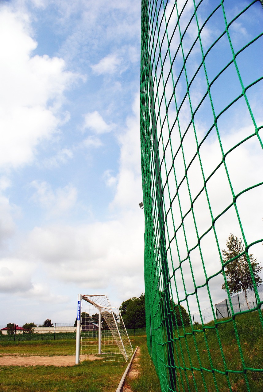 为本赛季的 为本赛季的