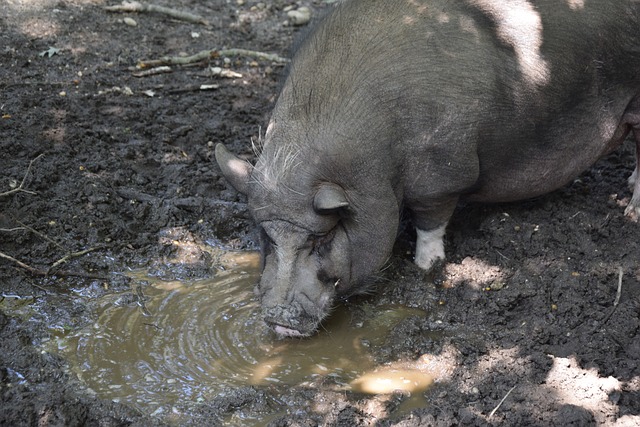 包括游击战 包括游击战